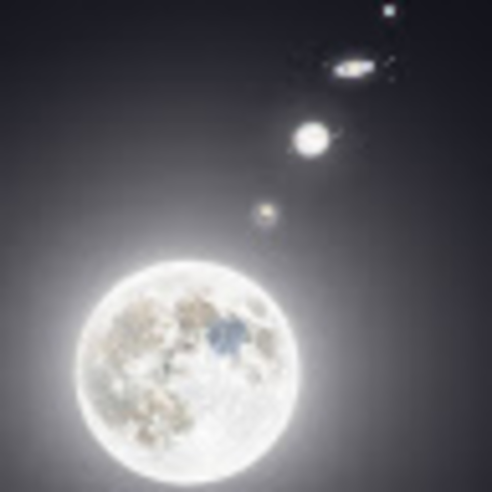 Meet your Posher, Michelle